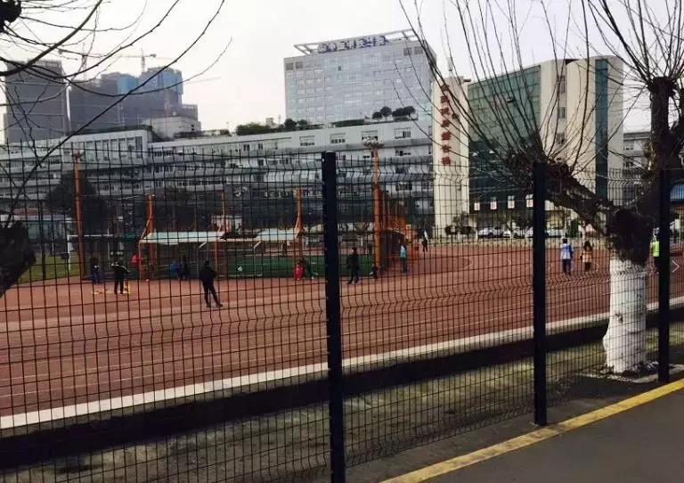 成都155个公共体育场馆免费,成都体育场有序开放