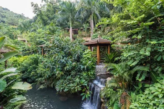 云顶温泉度假酒店无边际泳池,云顶温泉大酒店有多少家