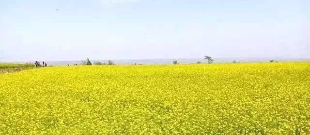 川藏铁路雅安至天全路段详细图,川藏铁路成都到蒲江2020年开工