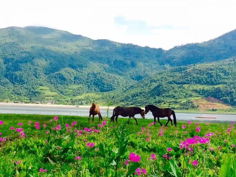丽江这个时候冷不冷,丽江最美季节