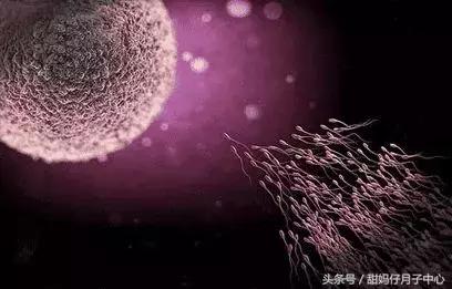 孕期流血是流产的征兆吗,孕期流血是卵黄囊掉了吗