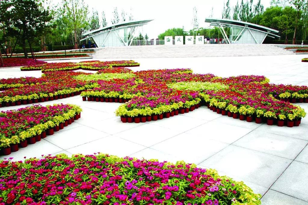 海淀十年照片,海淀40年前的照片