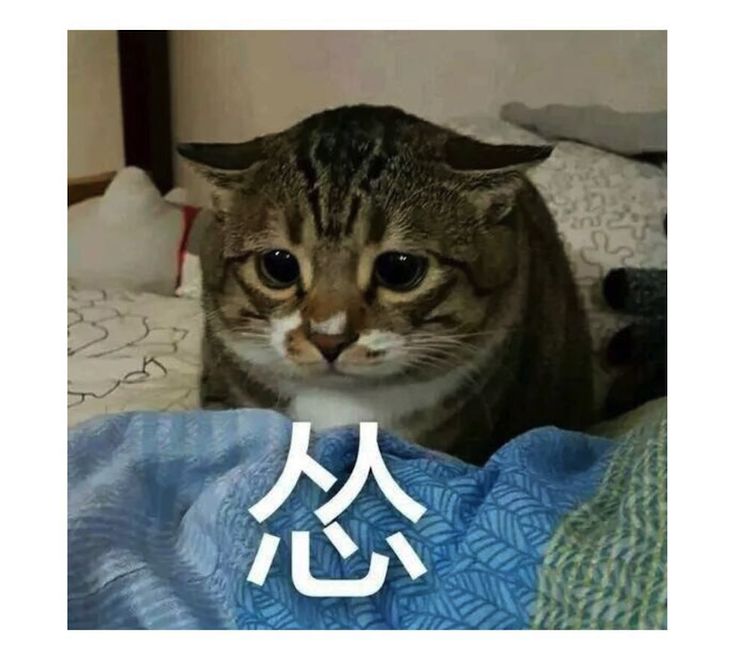 空调怎么样使用最省电最新解答,一般人都不知道的空调省电方法