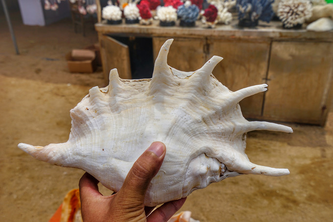 日照,日照有什么好玩的地方