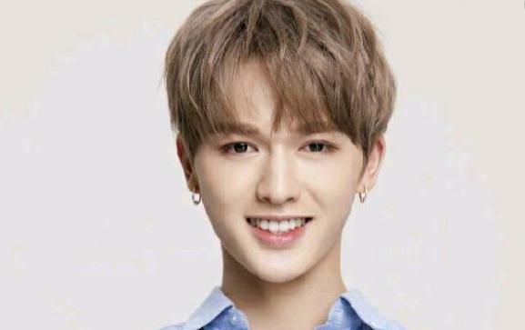 全国各地都有过哪些明星,哪个省的男明星最帅