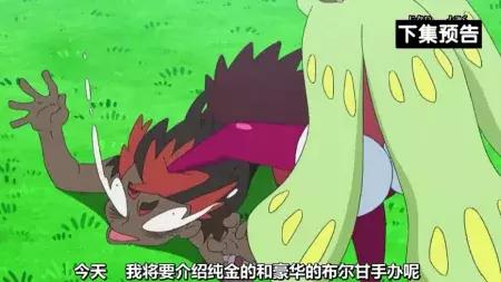 小智的木木枭最终进化了,小智的木木枭最后进化了吗