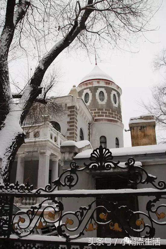 绾㈤湠骞煎効鍥搱灏旀花,鍝堝皵婊ㄧ孩闇炲辜鍎垮洯