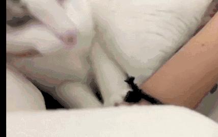 你享受过免费叫醒服务吗,你享受过免费的叫醒服务吗