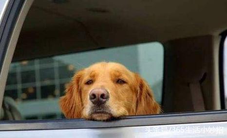 风靡这么多年的万能神器风油精，究竟有什么神奇的效用让人青睐