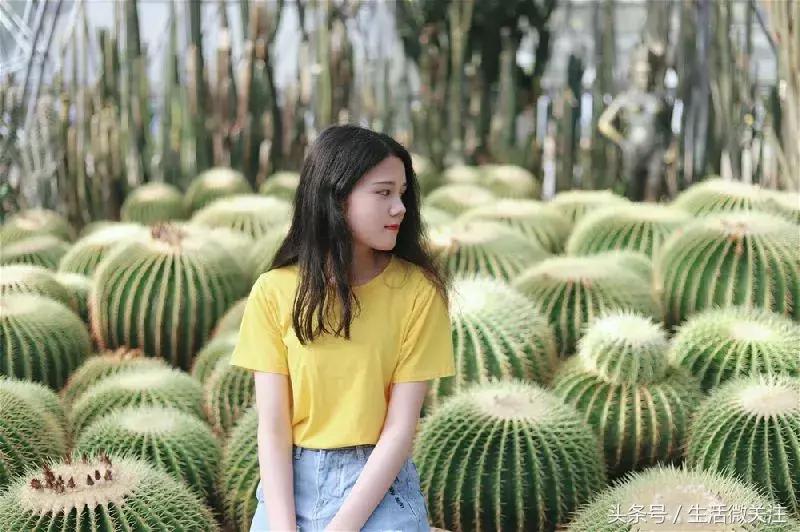 深圳拍照圣地推荐,拍照圣地深圳风景