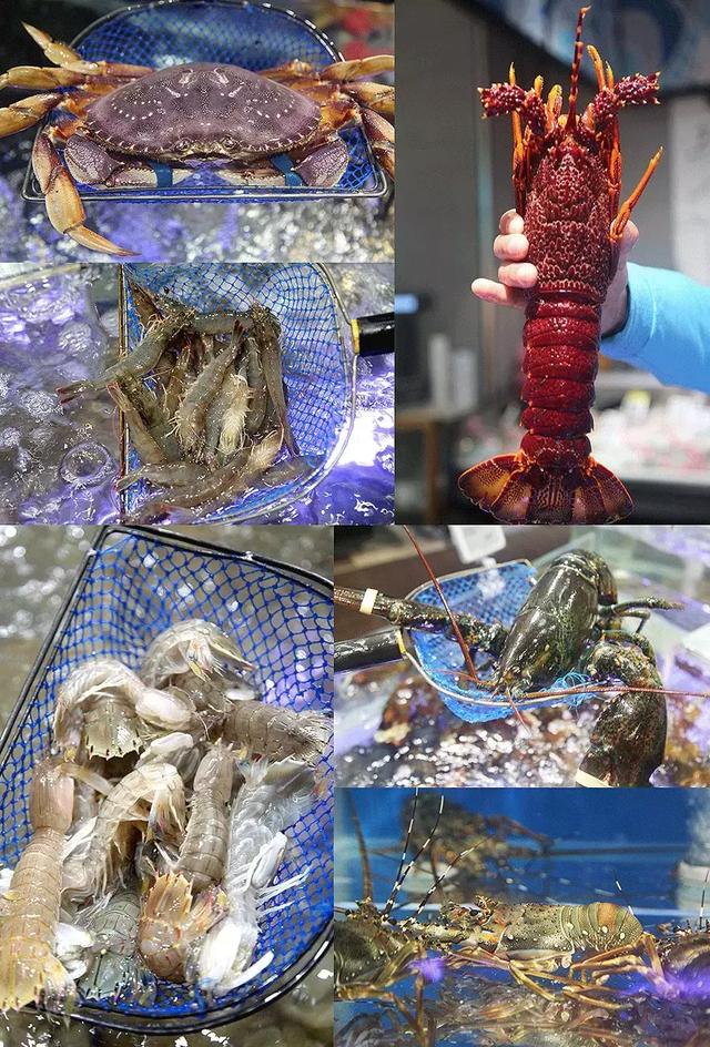 双流购物广场有哪些,在成都一定要去的地方