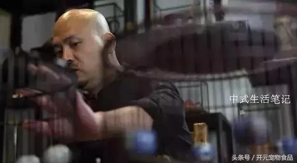 提笼架鸟什么意思,提笼架鸟