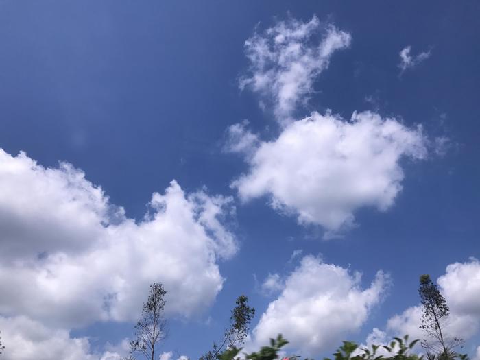 北漂定居武汉的码农,北漂码农