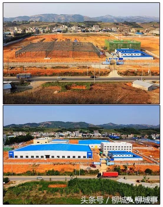 「探秘柳城」扒一扒这里是怎么由荒地变成“凤凰窝”……