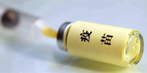 被打了疫苗的狗狗咬伤需要打针吗,被打了狂犬疫苗的狗狗