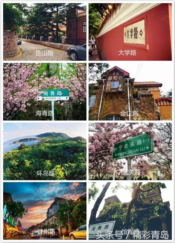 青岛是一个什么样的岛,青岛是一座美丽的海滨城市