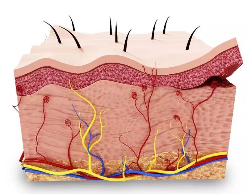 再帮助孕妈再减少一个烦恼！WGO小鱼正面清单，10款安全妊娠油！