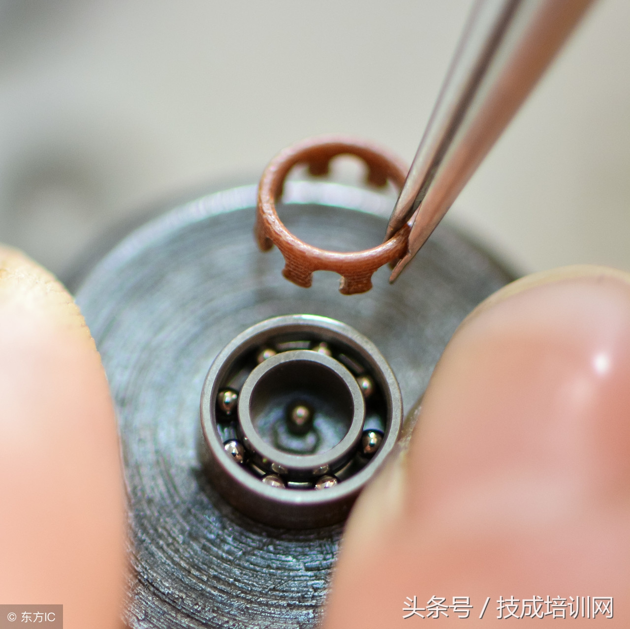 轴承编号6204代表什么意思,常用轴承代号详解表