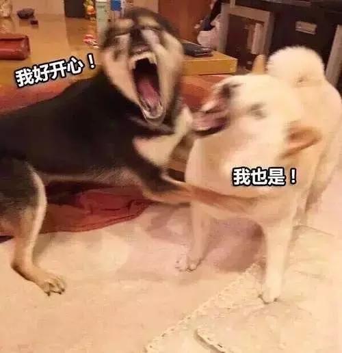 买1送1高倍防晒霜,买一送一99两瓶防晒霜