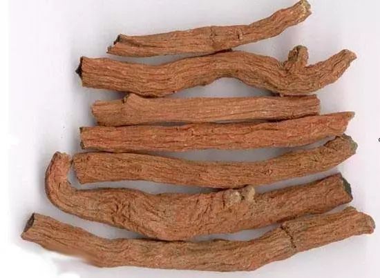 人参丹参党参西洋参的区别,丹参西洋参和党参的功效区别