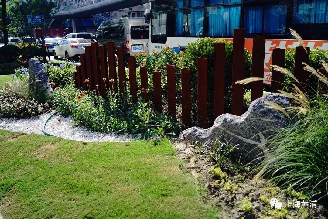 臭水浜变成了林荫道,《从臭水浜到林荫道》小学课文