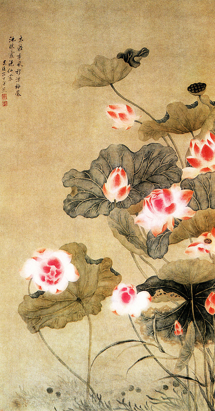 「转」这么美的荷花,千年荷韵