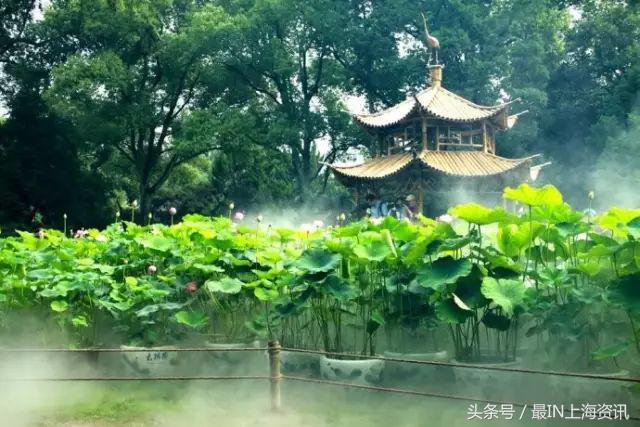 上海地名八级考试，看看你能答到第几级？