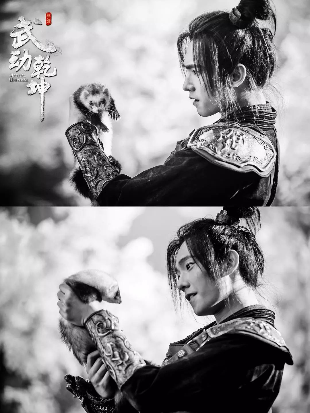 杨洋武动乾坤评价,武动乾坤杨洋版怎么样