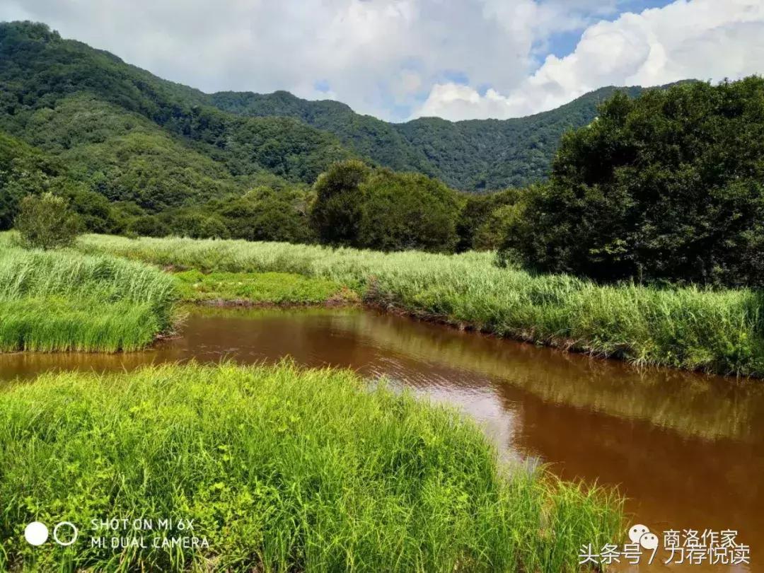 徐博：云中湿地—大九湖