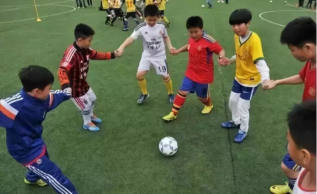 厉害了洋浦中学,沧州特色学校名单