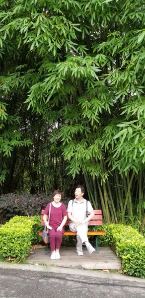 带着爸妈自由行攻略,带父母和孩子成都怎么玩