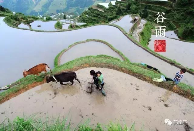 山歌文化传统音乐,山歌贵州纯音乐