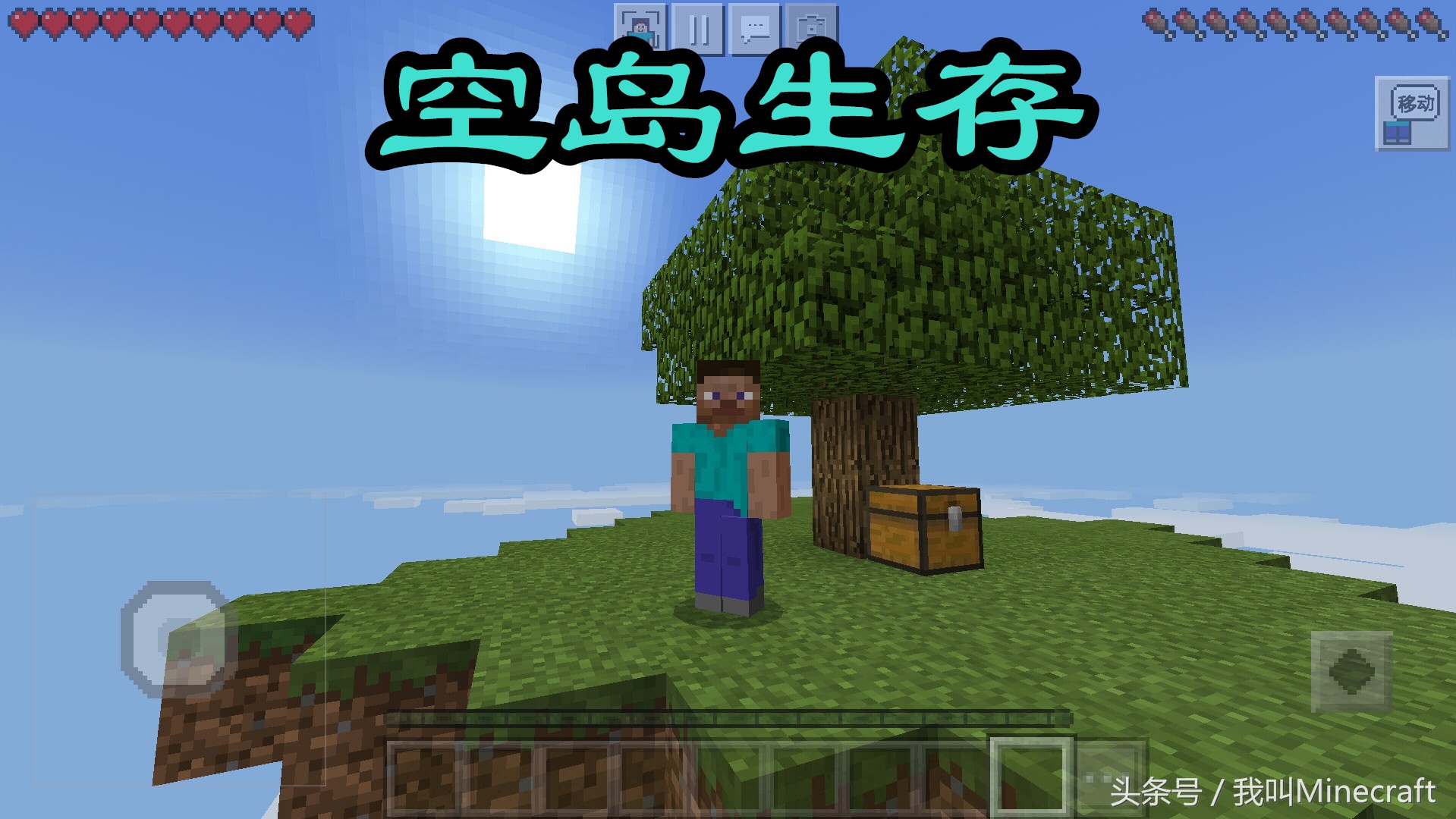 我的世界：生存究竟该怎么玩？看到这10种玩法，老MC沉默了！