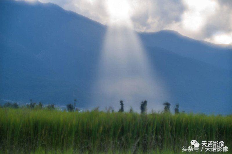 传奇归来详细介绍,传奇归来意大利