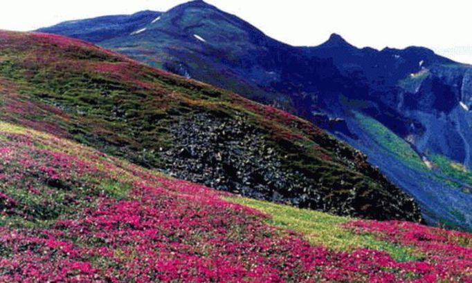 长白山滑雪旅游攻略及详细费用,沈阳到长白山自驾旅游攻略
