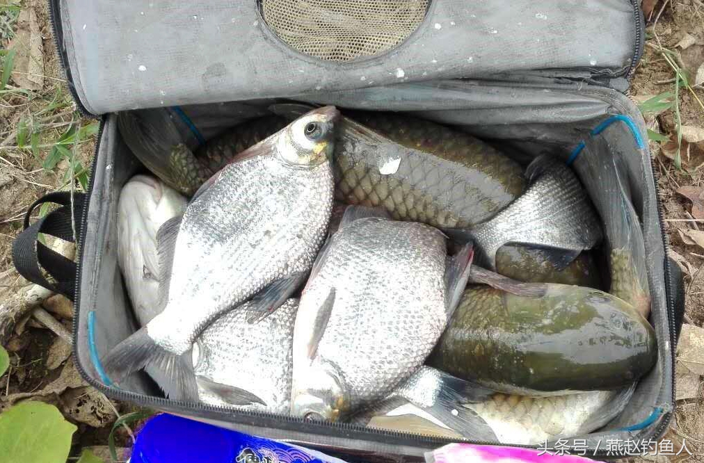 钓鱼怎么通过气压判断钓的深浅,钓鱼先看钓位与资源后看技术