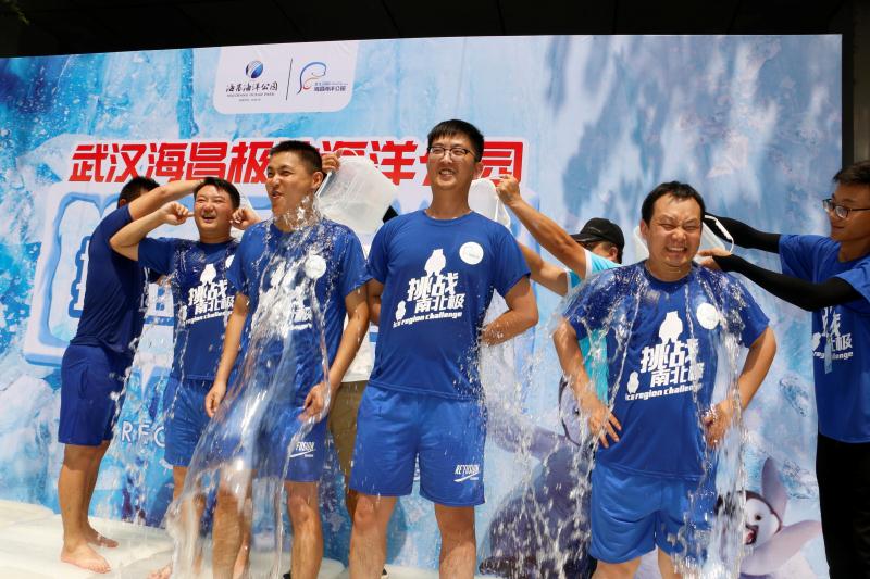 极地海洋世界青岛企鹅互动,青岛极地海洋公园企鹅接触