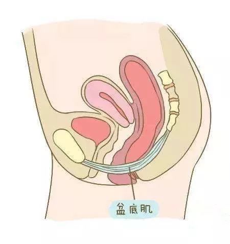 笑得太厉害笑尿了正常吗,笑是一件好事