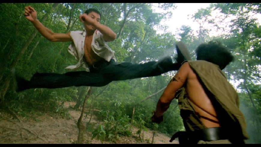 外媒评甄子丹10大最佳动作片，《杀破狼》第三，第一非它莫属