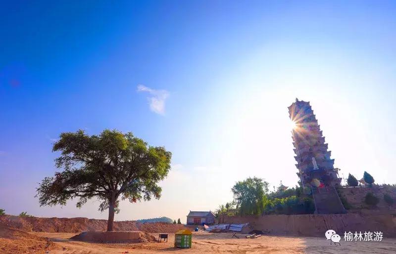 走遍榆林寻古树、品农味、游乡村，感受最清爽的一抹绿之子洲篇