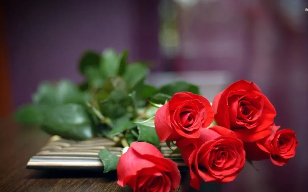 每朵花原唱完整版,每朵花完整版