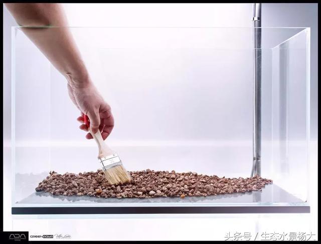 ada草缸造景什么意思,ada造景大赛60缸