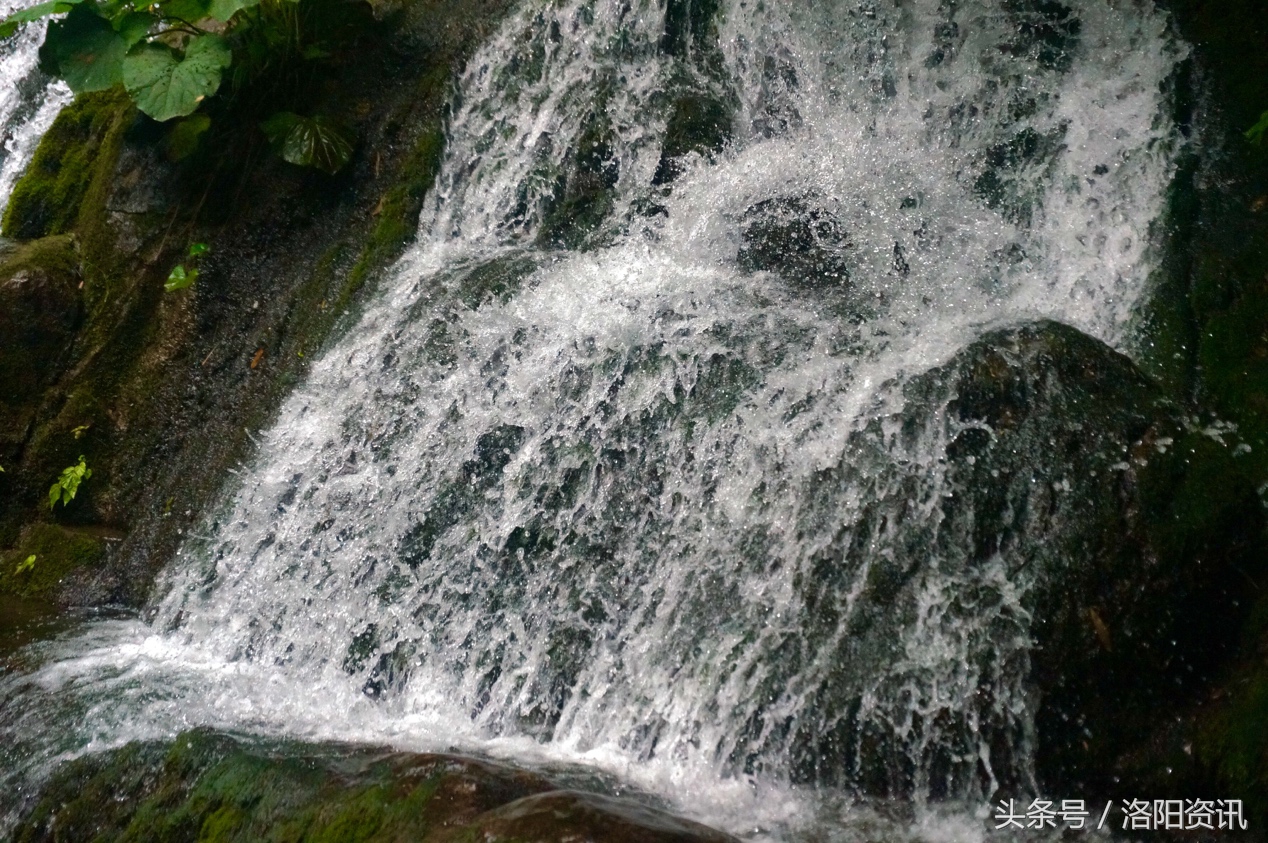洛阳市亲子游玩地点推荐,洛阳玩水旅游攻略