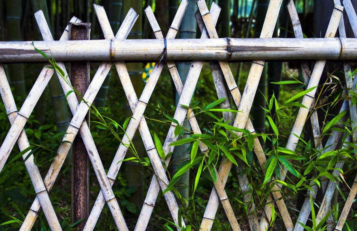 命苦的人要怎么做,走出心灵的低谷感悟