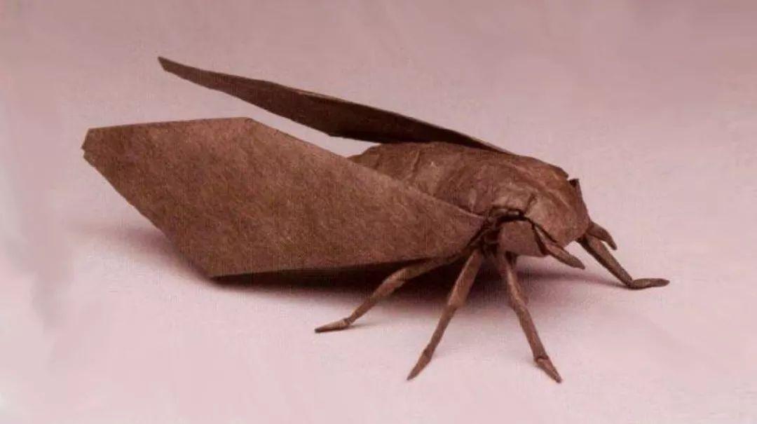 求解……难道日语里蝉的叫声是“咩咩咩”？