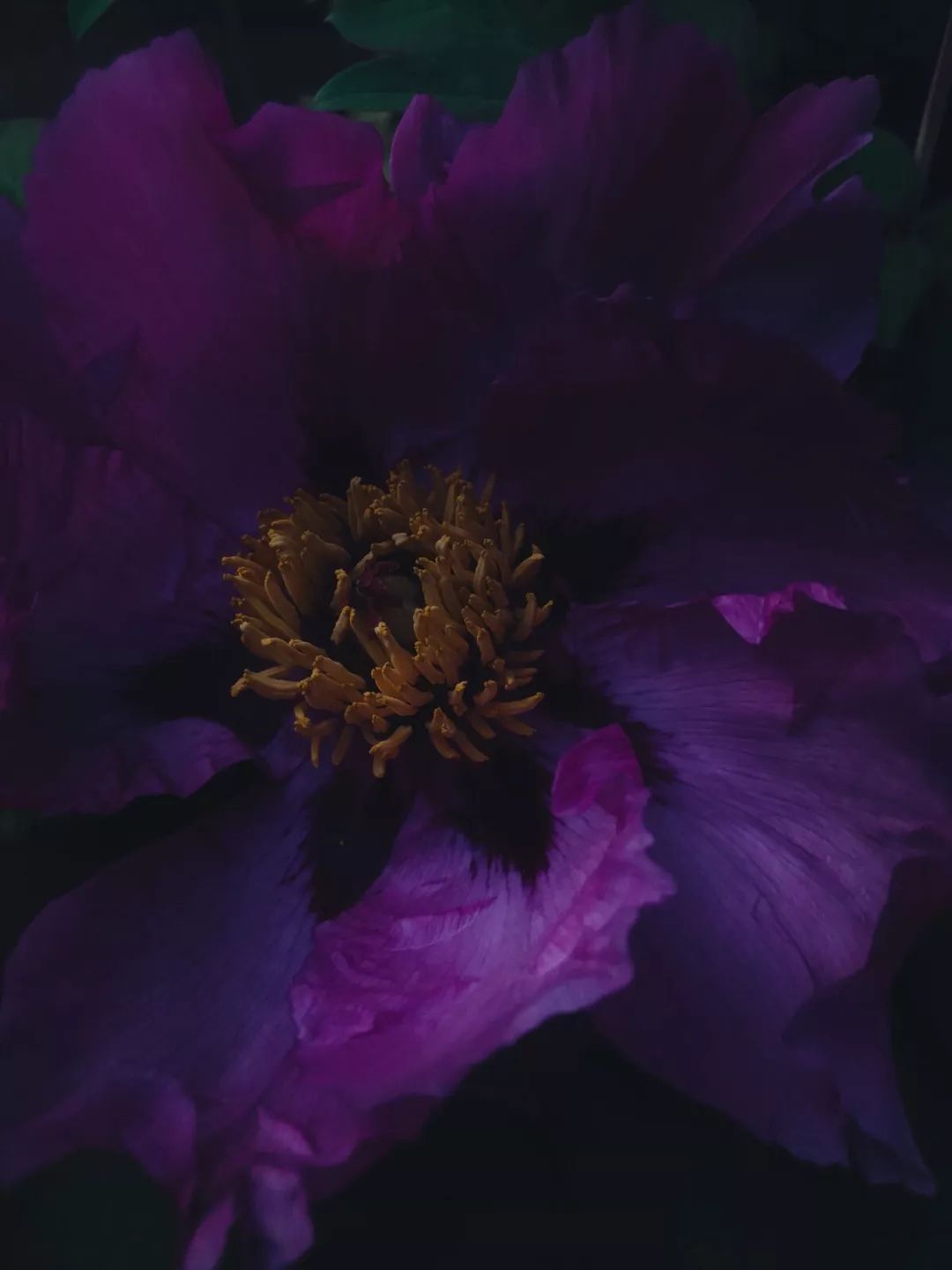 佳能5dmark4人像美颜,拍人像佳能5d4