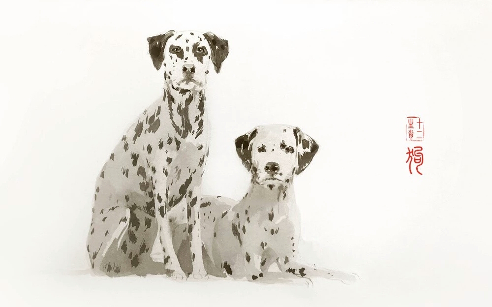 如何破解属相不合的婚配,如何破解五行相克