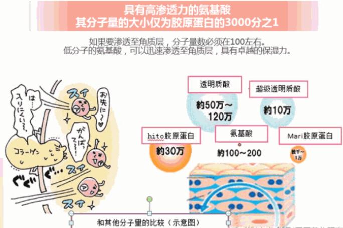 适合敏感肌的日本产品,日本敏感肌专用品牌