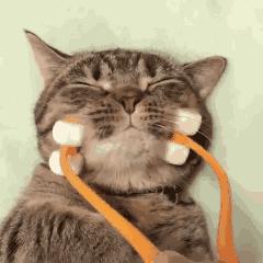 小林制药的必买品,小林制药蓝泡泡