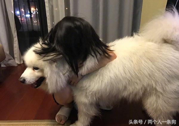 怀孕就不可以养狗？牵他进门就应照顾一生，养犬人都应该知道！